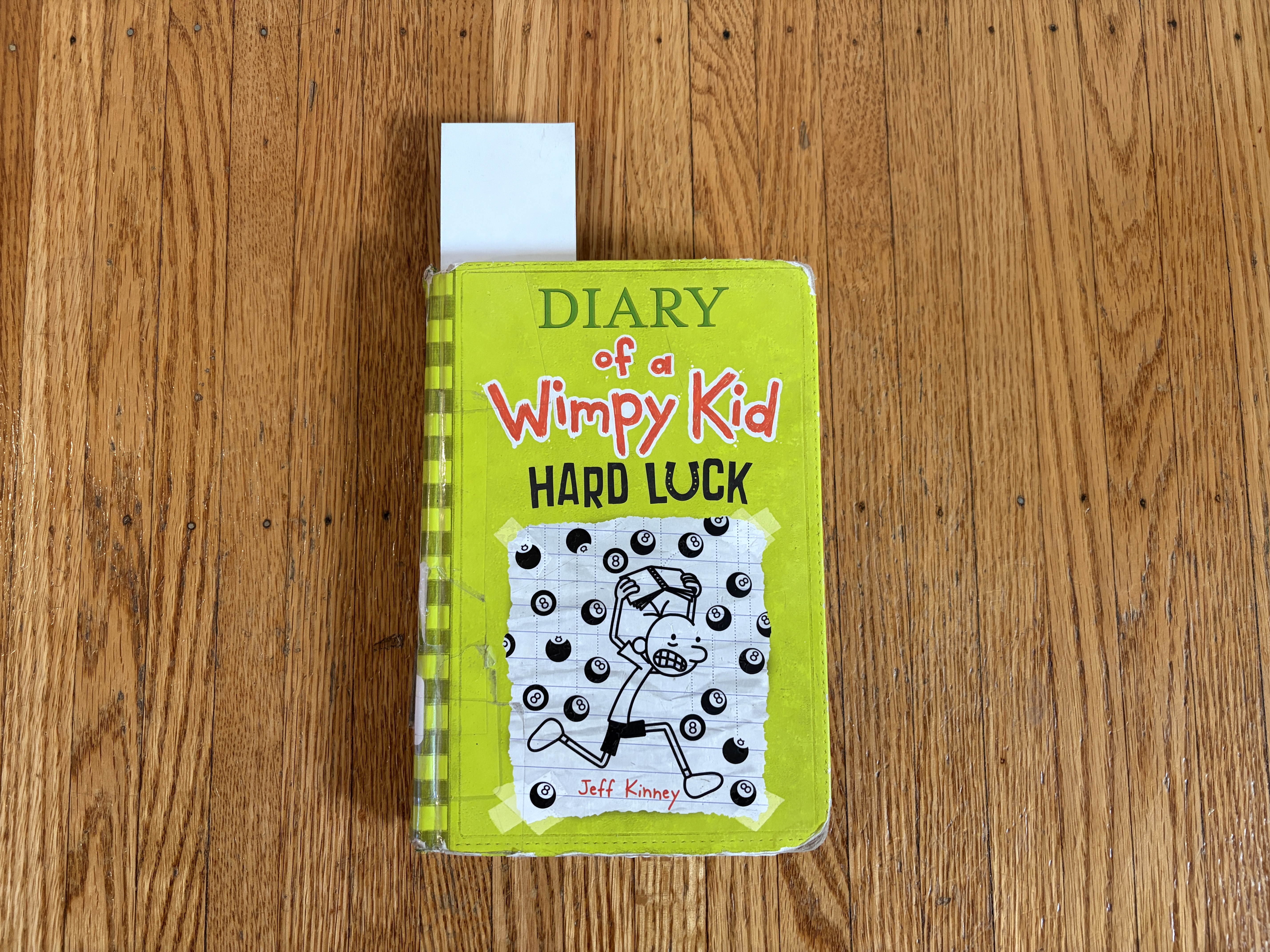 Diary of a Wimpy Kid: Hard Luck